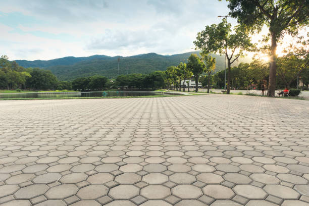 Best Driveway Pavers Near Me  in Snellville, GA